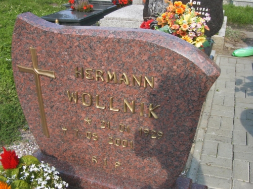 Wollnik Hermann